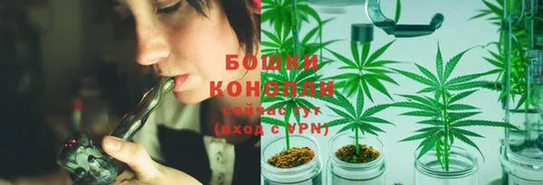 ПСИЛОЦИБИНОВЫЕ ГРИБЫ Арсеньев