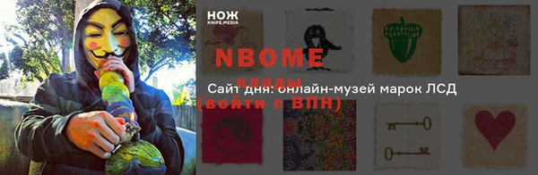 сатива Армянск