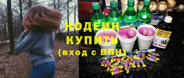 ПСИЛОЦИБИНОВЫЕ ГРИБЫ Арсеньев