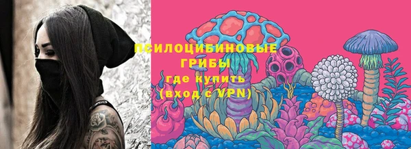сатива Армянск