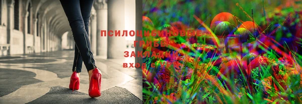 ПСИЛОЦИБИНОВЫЕ ГРИБЫ Арсеньев