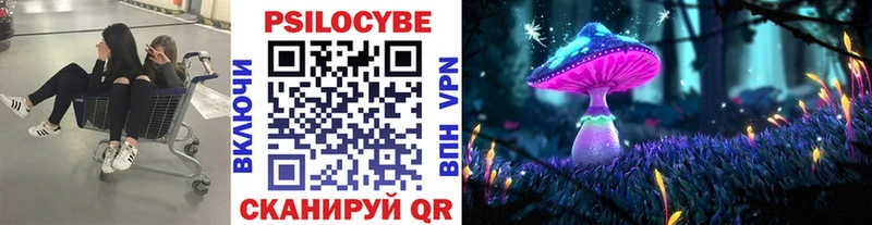 Галлюциногенные грибы Cubensis  купить закладку  mega рабочий сайт  Отрадный 
